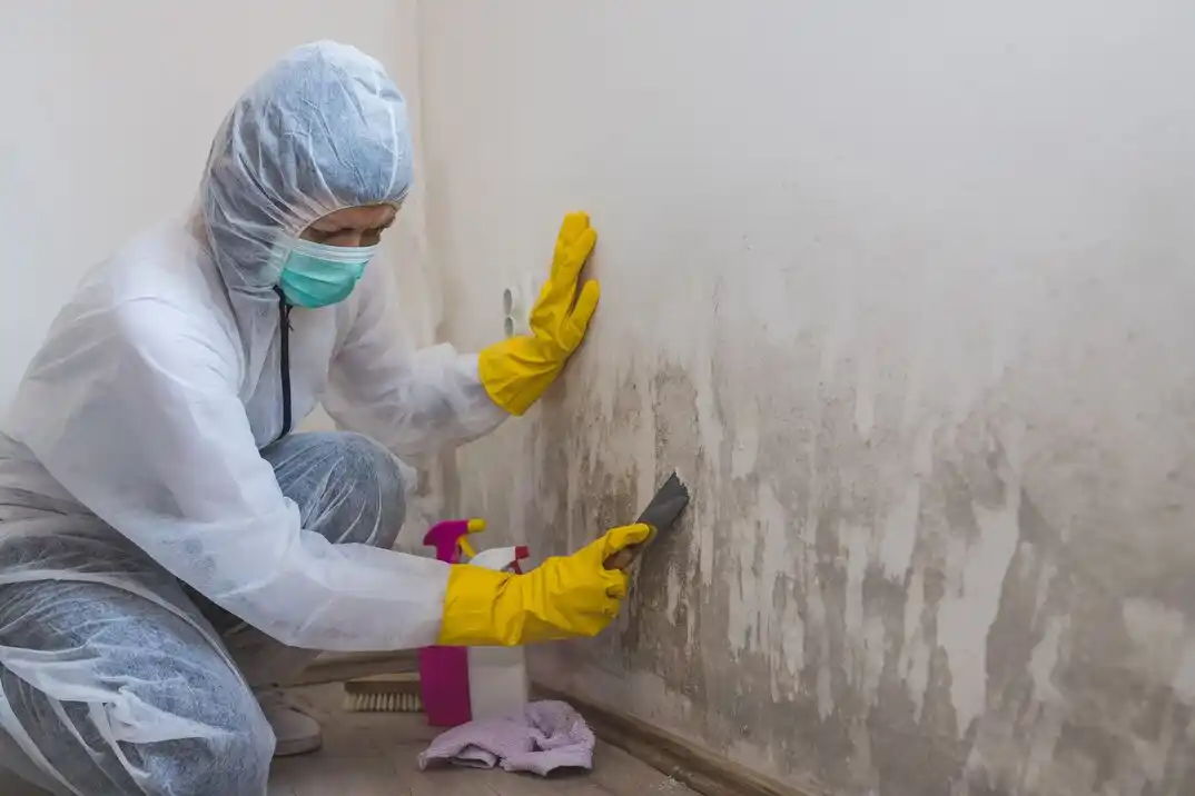 water damage restoration service Shoal Creek